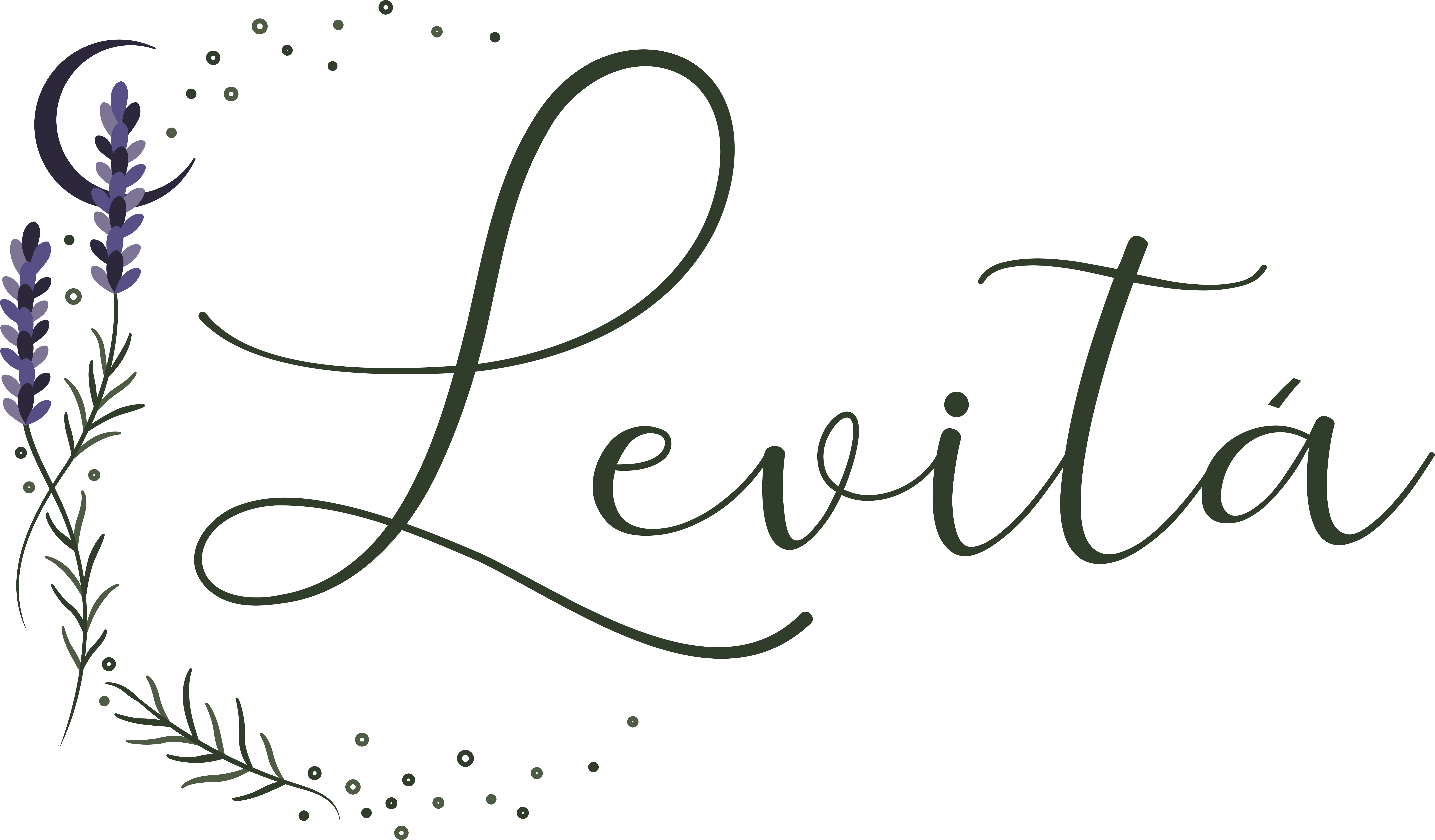 Logo do patrocinador
